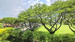 Tembusu Grand (D15), Condominium #581781651